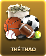 Thể thao new88
